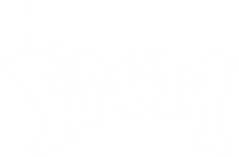 Yaticorp